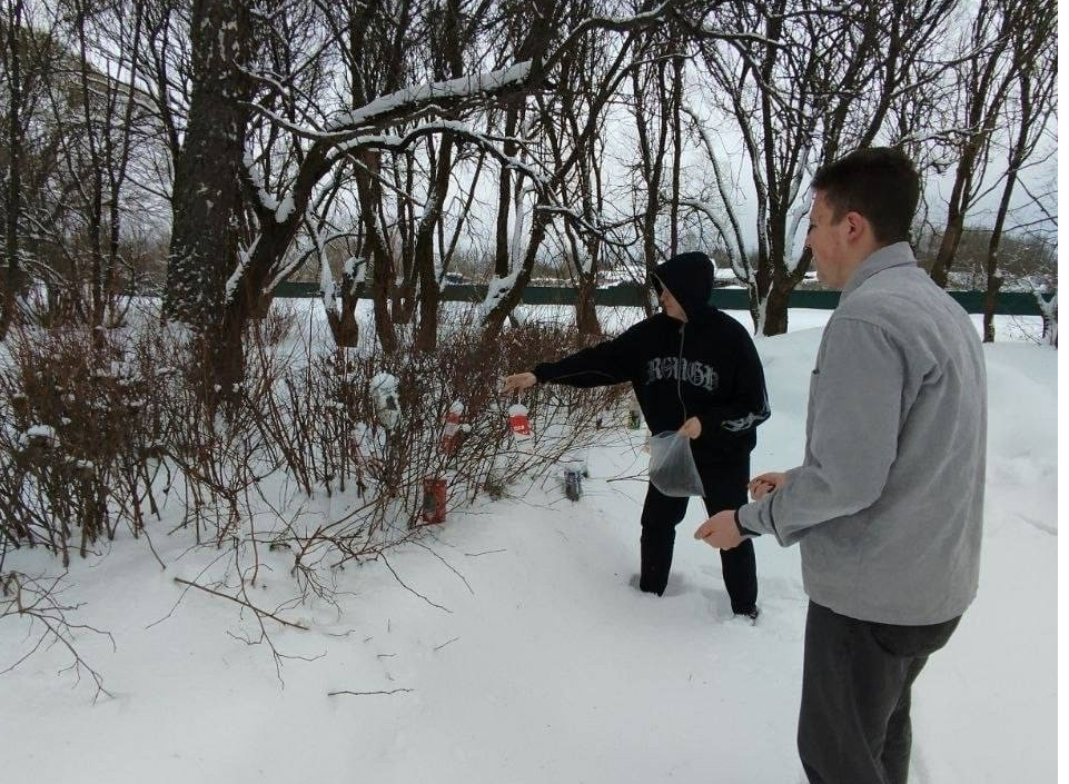 Зимующих птиц округа подкармливают креативные школьники