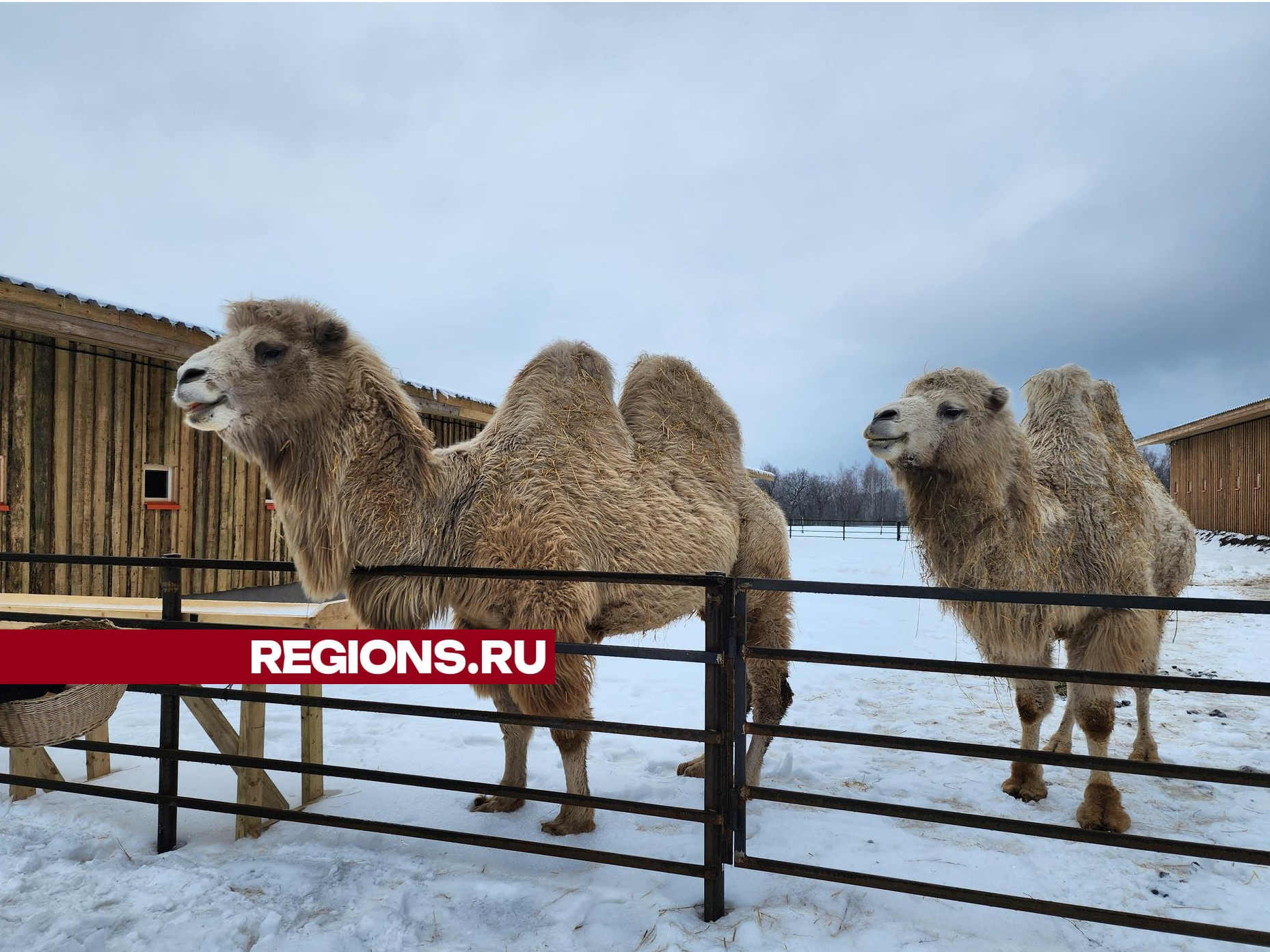 Агротуристический проект «Хутор Спасский» появился в округе благодаря субсидии правительства