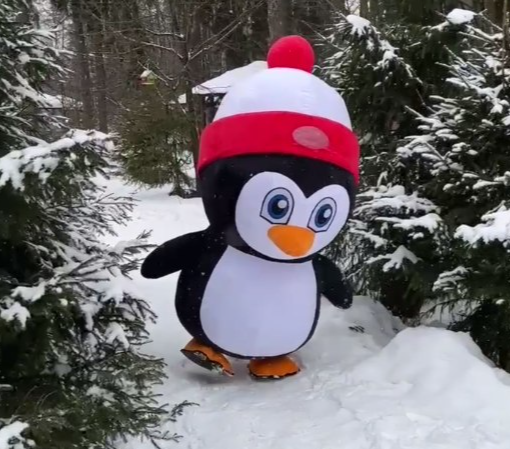 Юные мытищинцы познакомятся с веселым пингвином на празднике в парке Яуза