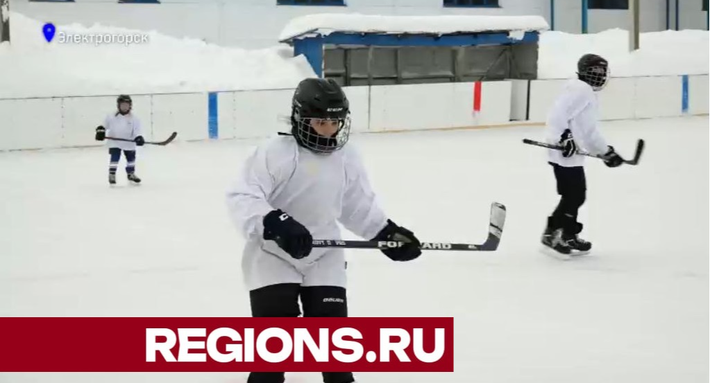 Юным хоккеистам Электрогорска подарили новые клюшки