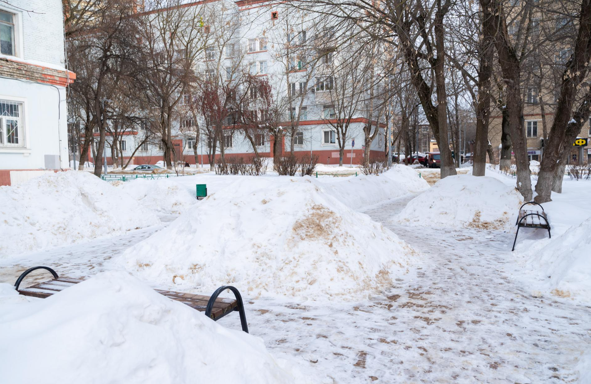 Новое место отдыха появится в Лыткарине в этом году | REGIONS.RU / Лыткарино