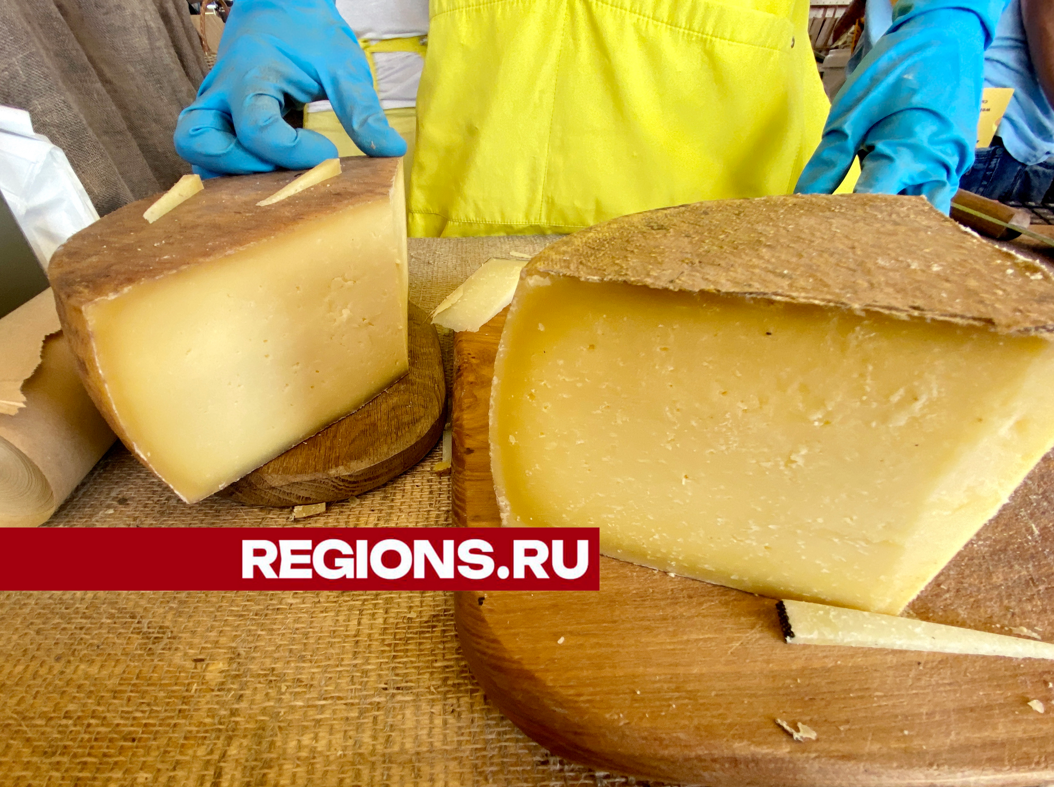 Ногинск нанесен на «сырную карту» России в числе шести регионов с лучшими сырами