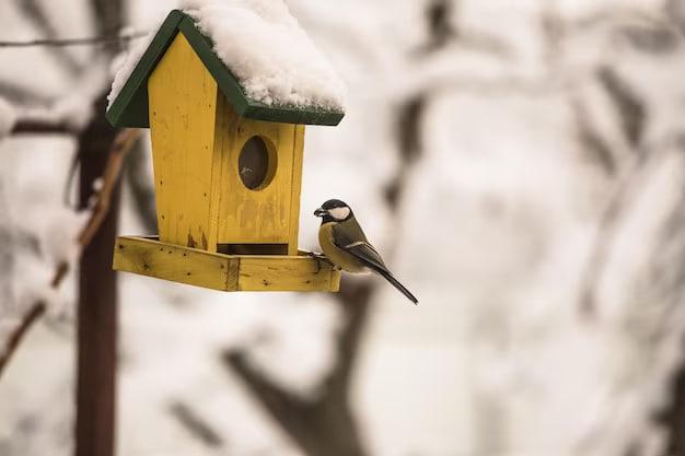 Самыми активными участниками акции «Покорми птиц» стали жители городского округа Люберцы