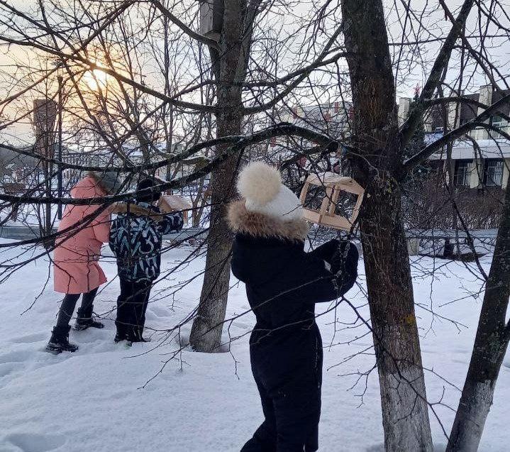 Юные лесничие из Талдомского округа изучают птиц Подмосковья и делают кормушки