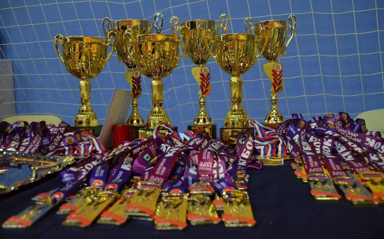 Спортсмены из Балашихи выиграли путевку на чемпионат России по тхэквондо