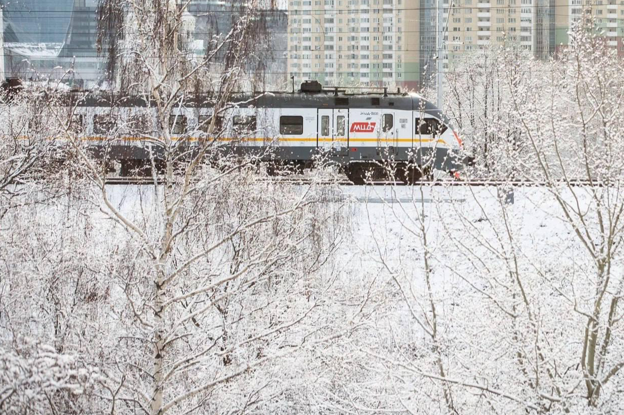 В прошлом году на новых диаметрах МЦД начали курсировать сорок новых электропоездов