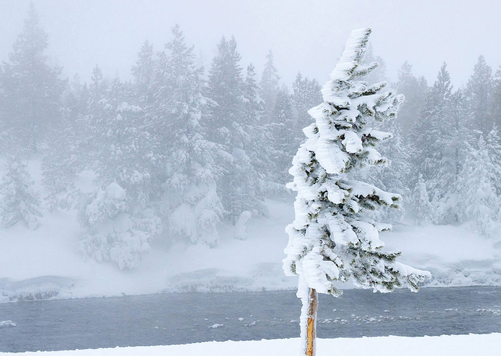 Ледяной дождь, туман и снегопад: лотошинцев предупредили о серьезном ухудшении погоды