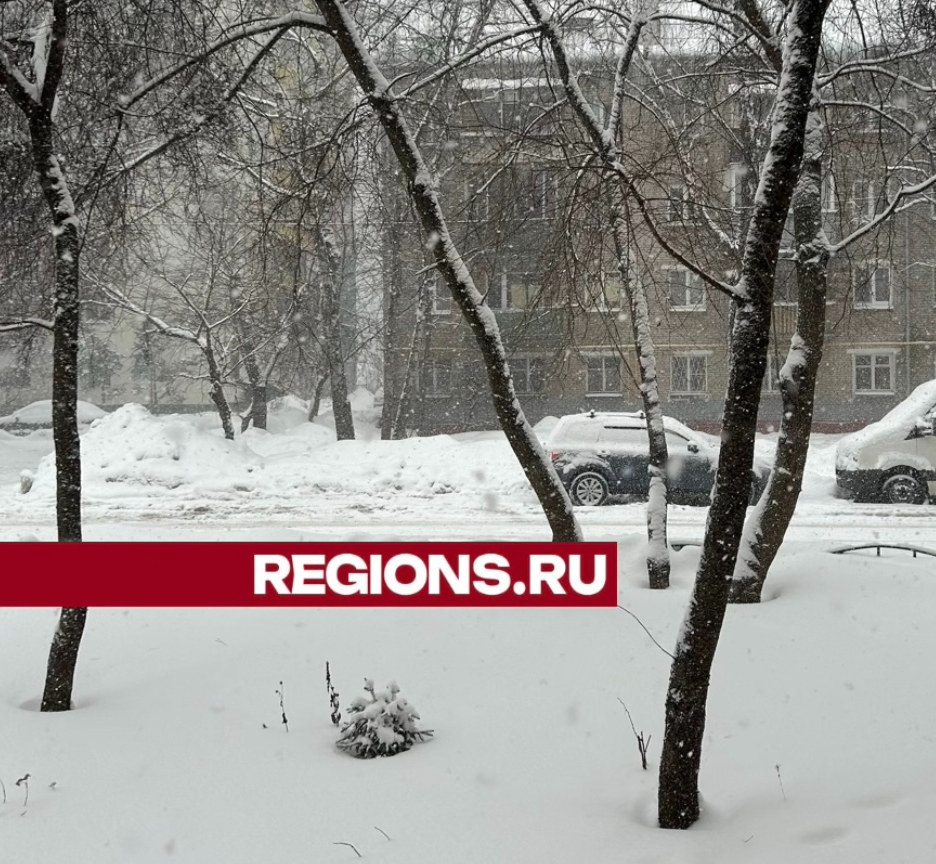 Снегопад "Ольга" накрыл городской округ Химки
