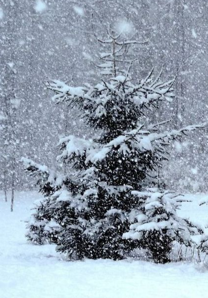 Новый снежный циклон испортит погоду в Лотошино на выходных