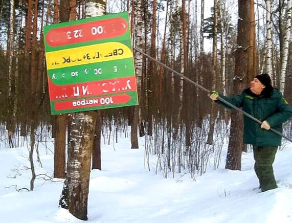 Им здесь не место: незаконные рекламные щиты были сняты лесничими с деревьев