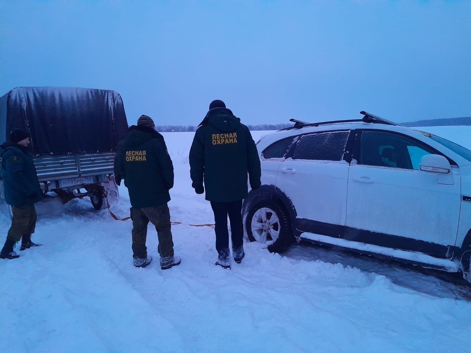 Ступинские лесничие выручили автомобилиста из снежного плена