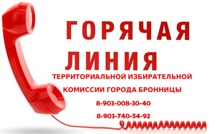 Нарушения на выборах: что предпринять бронничанину