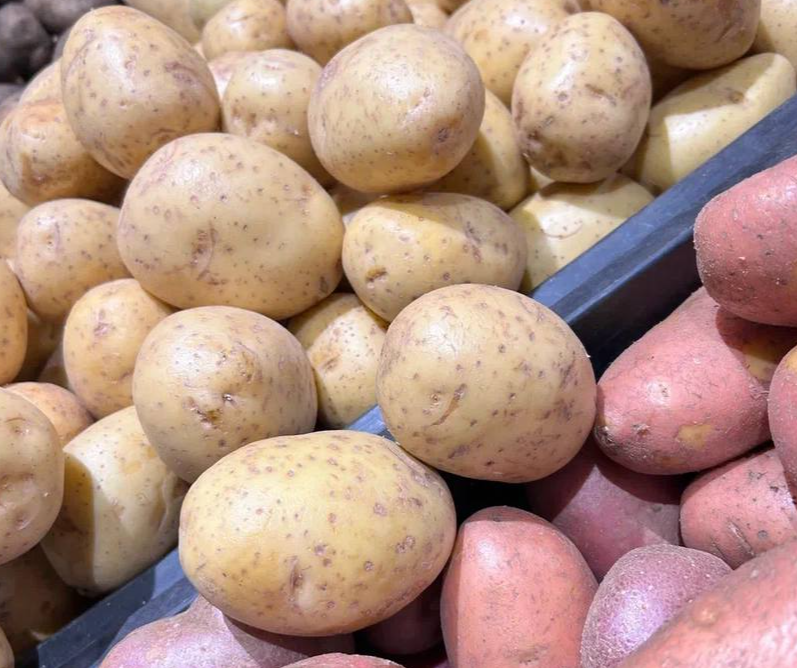 Дачники Черноголовки выбирают подмосковный семенной картофель