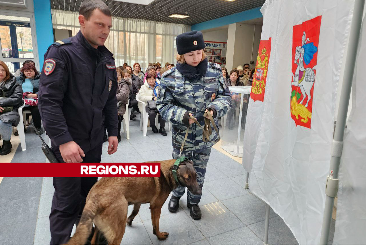 Полиция и спецслужбы обеспечат безопасность на избирательных участка Можайска