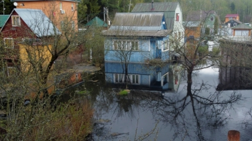 Карта осадков в орехово зуево на сегодня орехово зуево