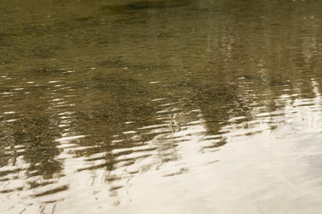 Завьяловский пруд планируют расчистить и привести в надлежащий вид