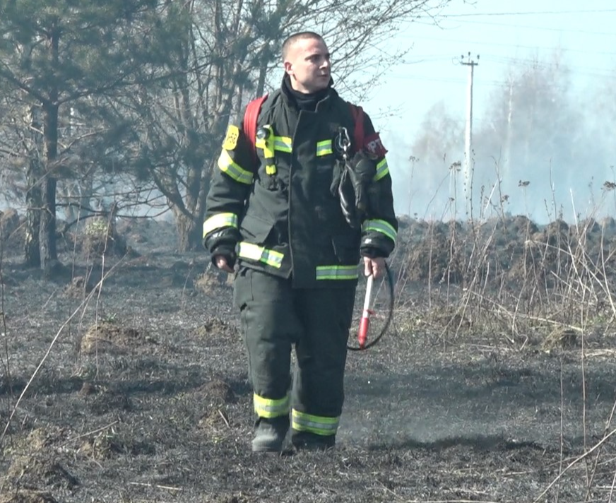 Пожарные рассказали, что горело в Наташинском парке