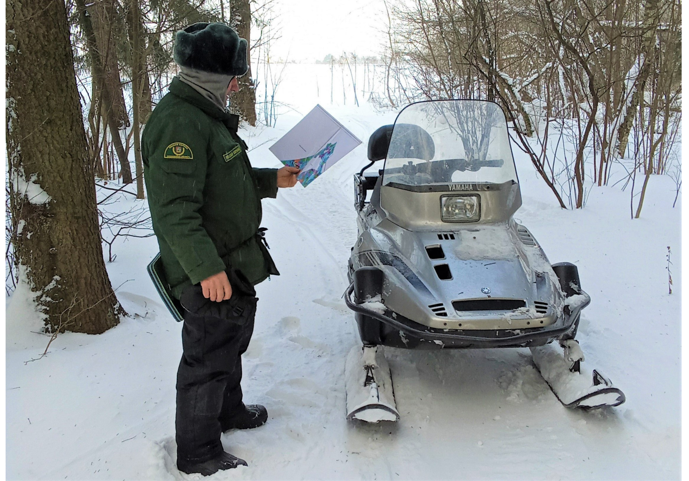 Коломенские лесничие продолжают патрулирование земель лесного фонда