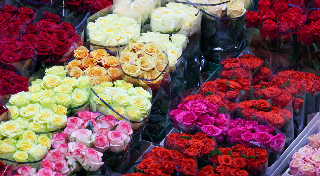 Ароматный рай: где в Подмосковье найти свежие цветы к 8 Марта по адекватным ценам
