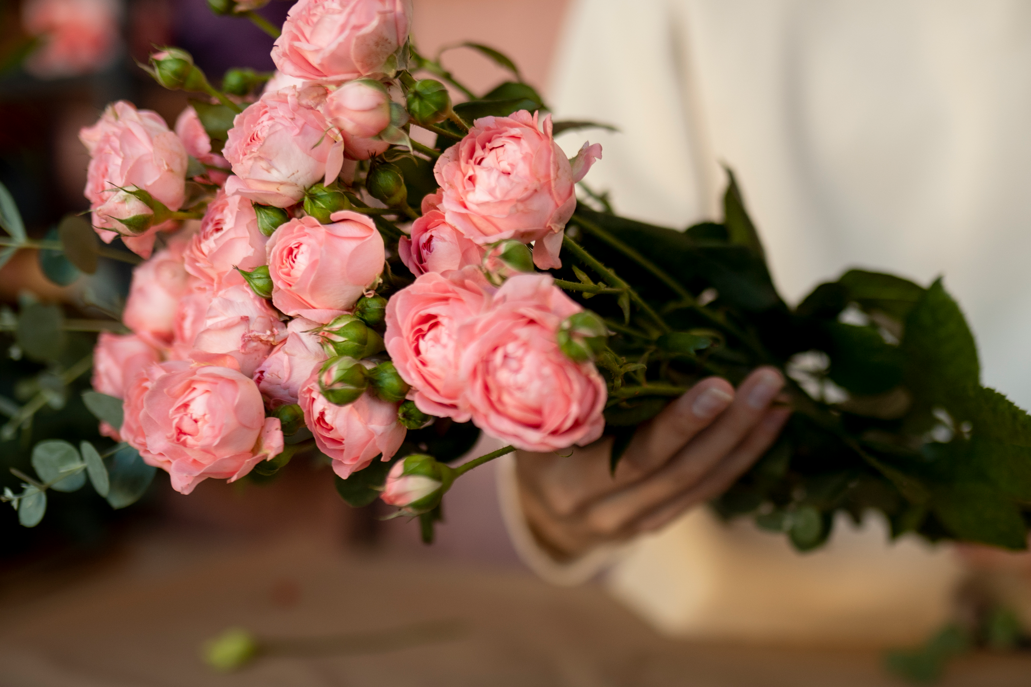 Идеальный букет для прекрасных дам: топ-5 лучших мест, где можно купить цветы к 8 марта