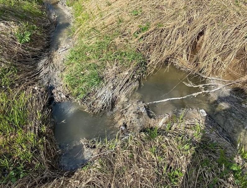 Загрязненный ручей: идет проверка по установлению виновника экологических нарушений в Ленинском округе