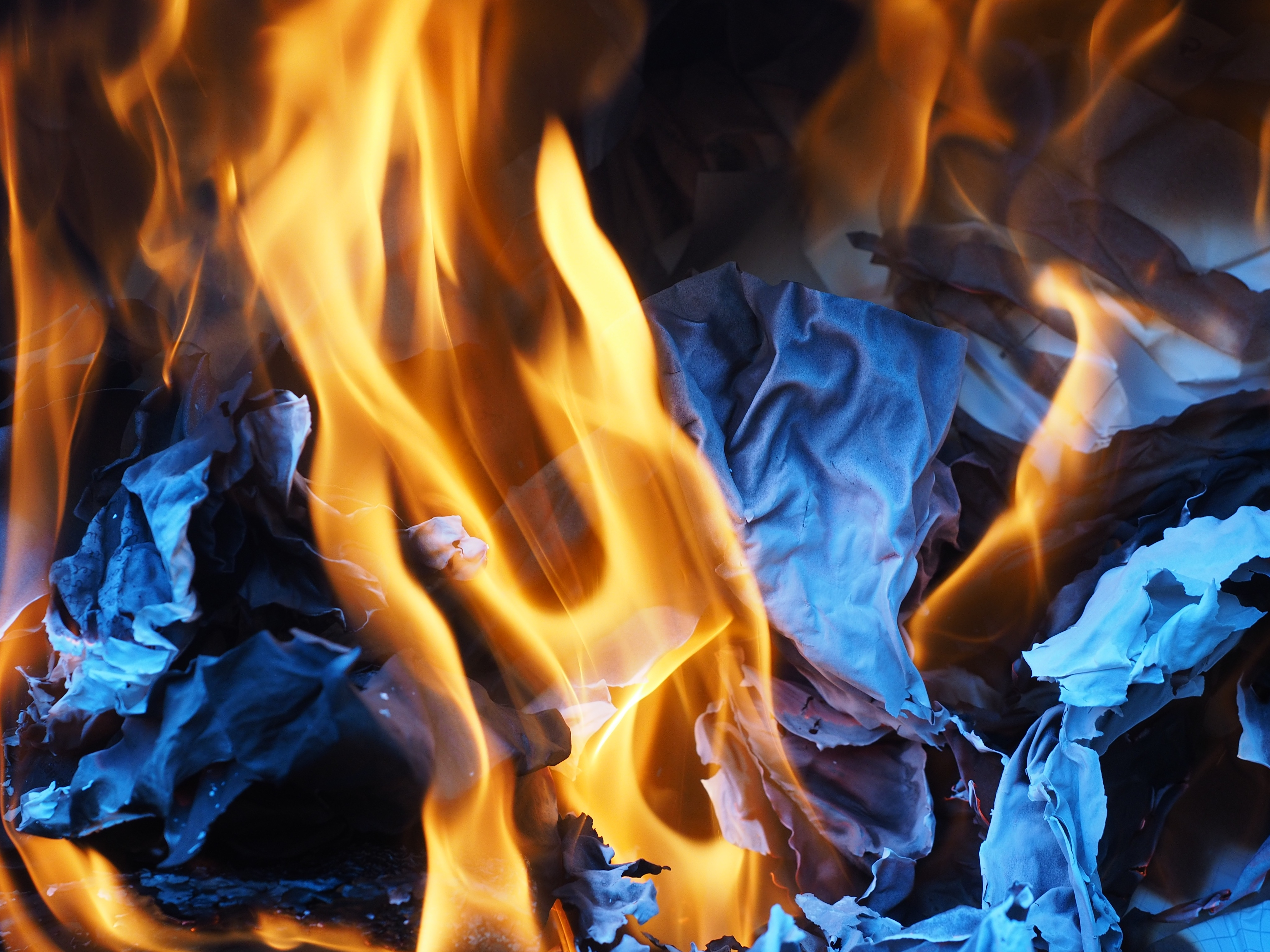 Огнеборцы потушили пожар в садовом товариществе в Лотошино
