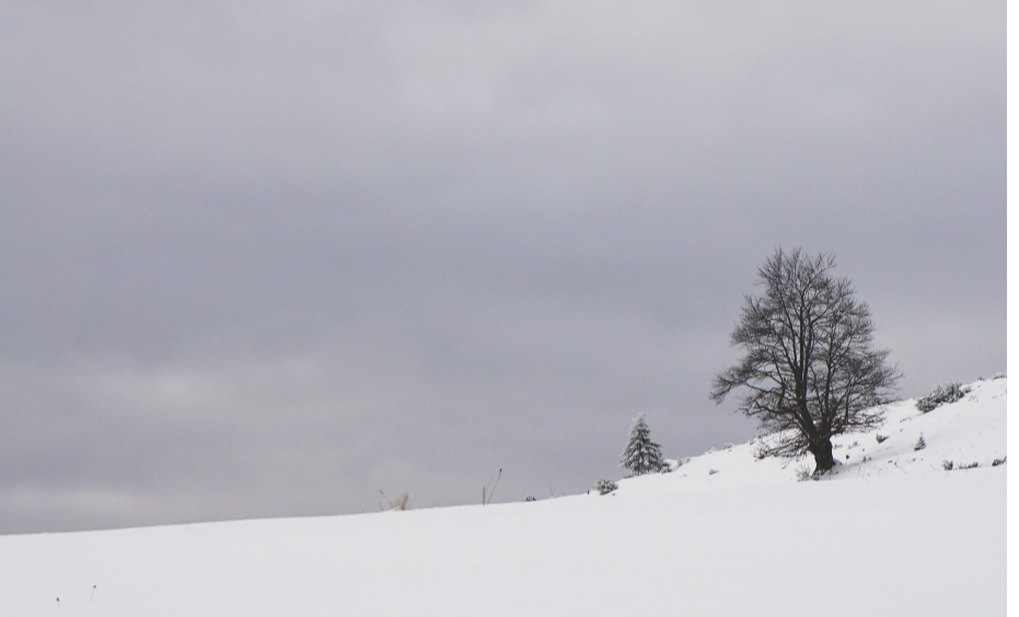 Облачная погода и небольшой снег ожидаются в округе Лотошино на этой неделе