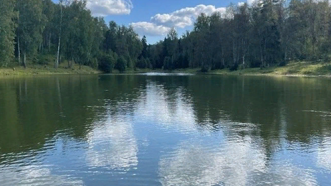 Более 18 тысяч жителей Подмосковья поучаствовали в голосовании за очистку прудов и озер