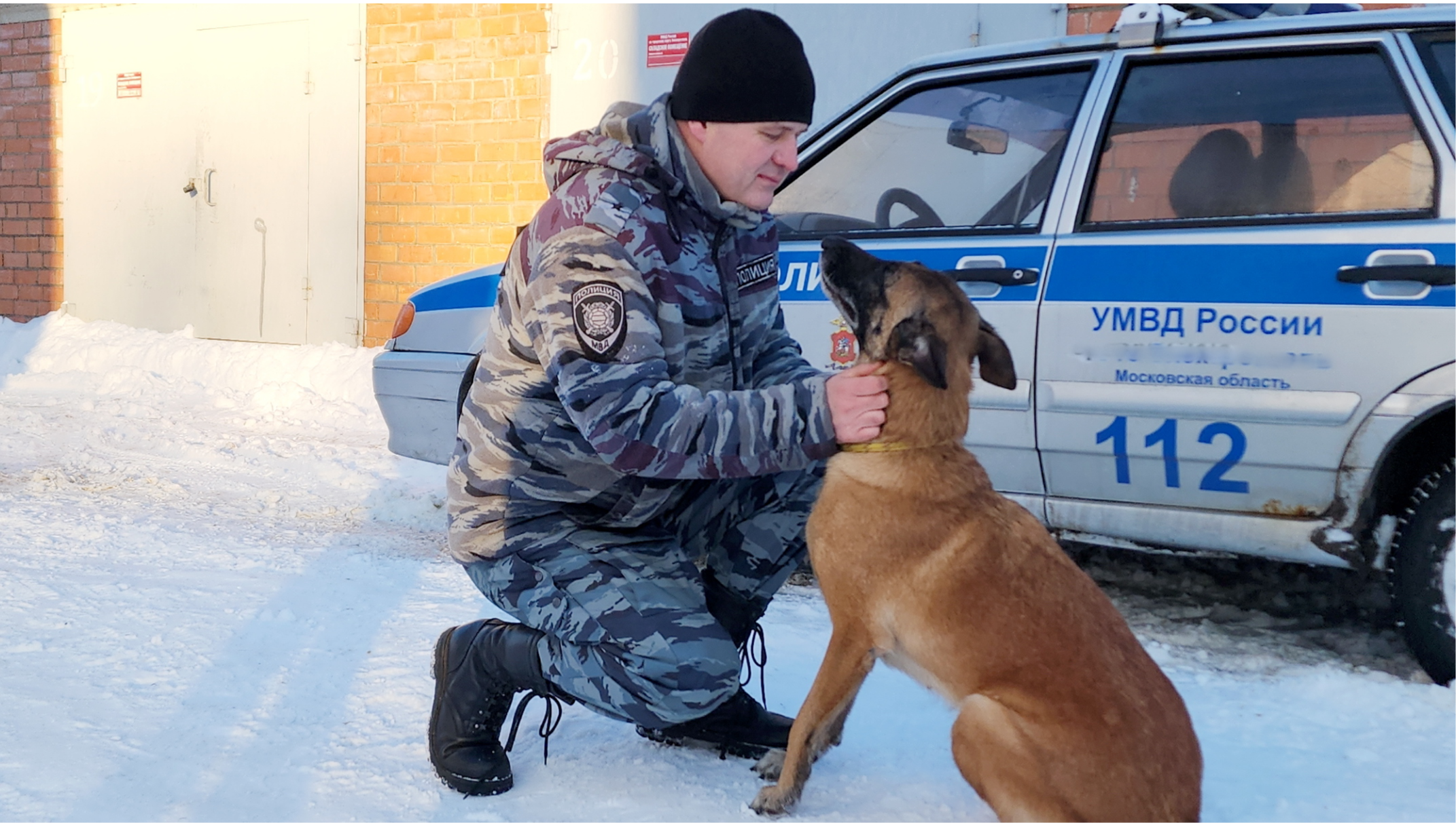 Избирательные участки Богородского округа проверят полицейские с собаками |  REGIONS.RU / Ногинск