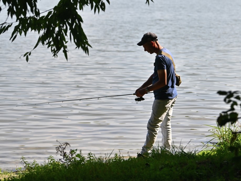 Үздік он порно жұлдыз