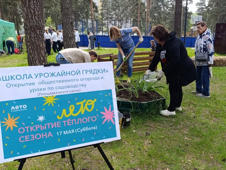 На общественном огороде в Котельниках жители высадили полезные растения