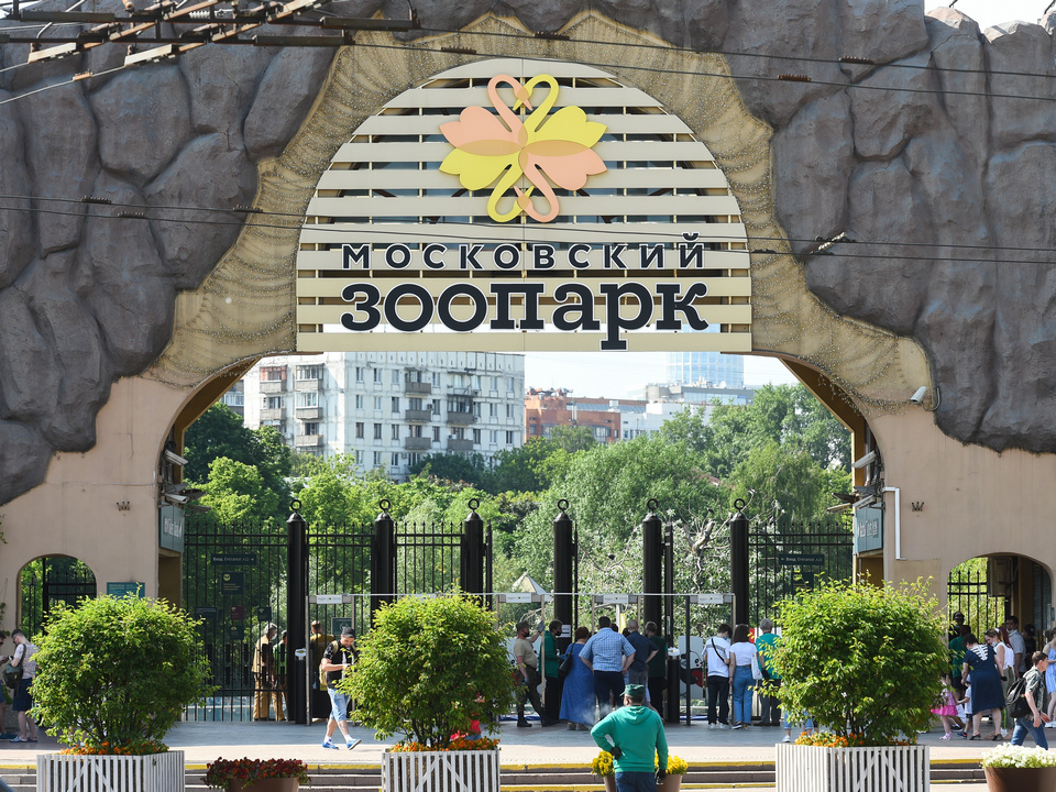 Дикие животные с базы отдыха в Троицком переедут жить в Московский зоопарк