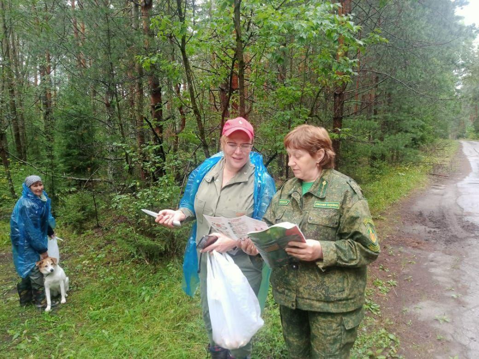 В подмосковных лесах за неделю выявлено 49 нарушений лесного законодательства