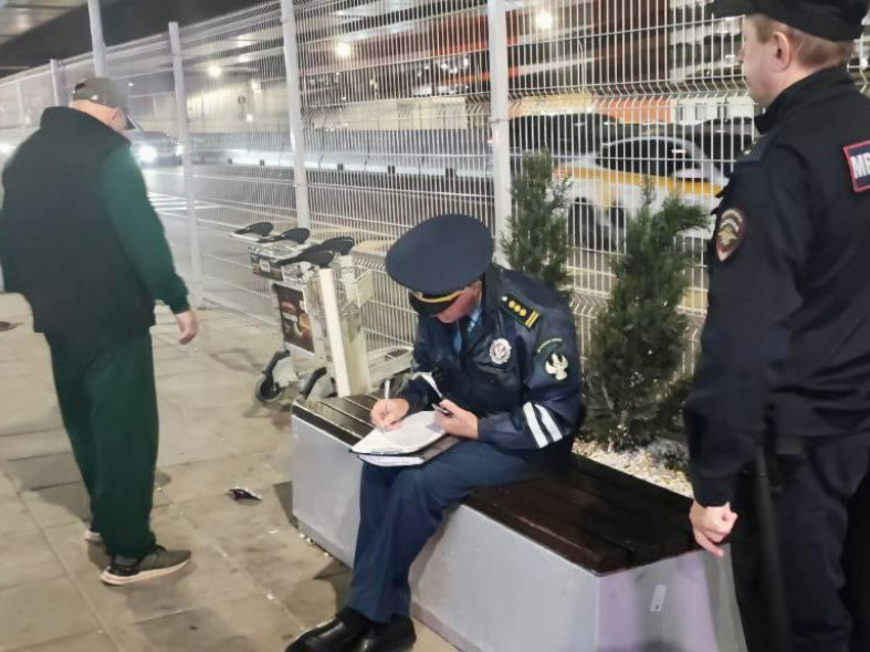 В аэропортах Подмосковья начались облавы на «зазывал» на такси