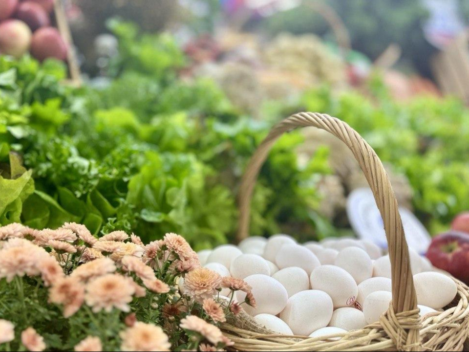 В Подмосковье работают 13 сертифицированных производителей органической продукции