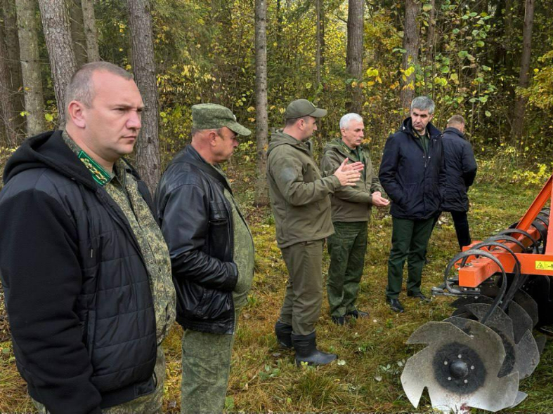 Подмосковье перенимает методы работы лесхозов под Минском