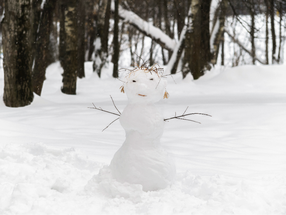 Дождались: в Люберцах из первого снега жители налепили армию мини-снеговиков