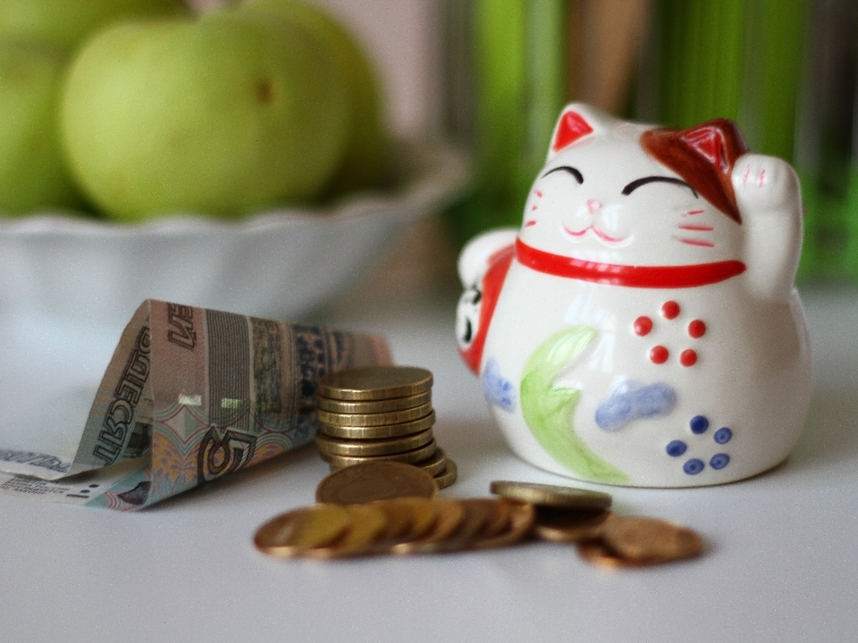 На что откладывает деньги каждый третий? Раскрыта самая популярная цель накоплений