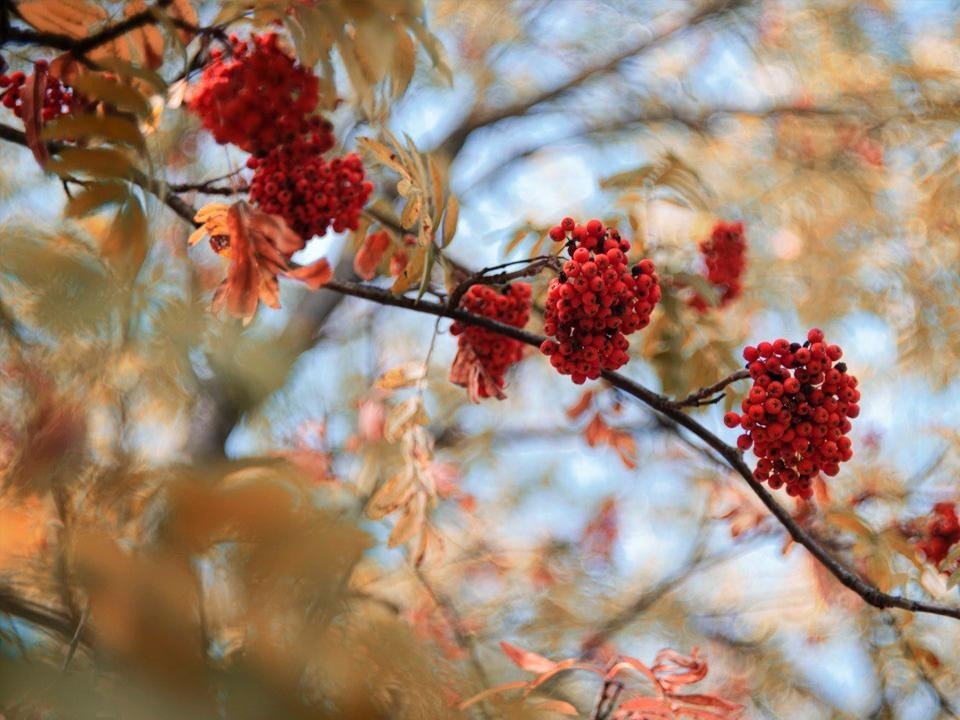 Около нуля: какой будет погода в Подмосковье в воскресенье