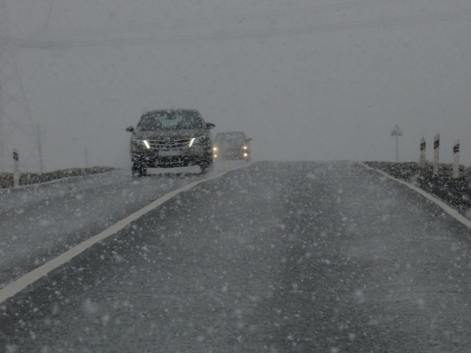 Дождь с мокрым снегом и гололедица: какой будет погода в Подмосковье 11 декабря