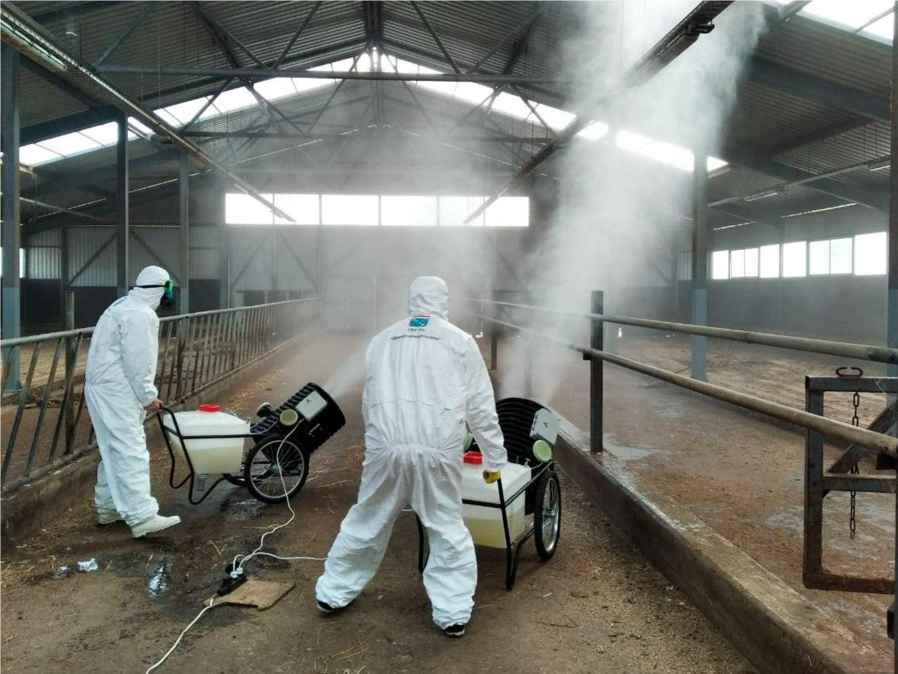 Предотвратить заражение: как ветеринары Подмосковья обеспечивают безопасность животных и продуктов с помощью химической дезинфекции