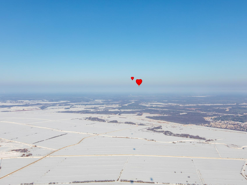 Аукционный бум: где в Подмосковье активнее всего распродают земельные участки