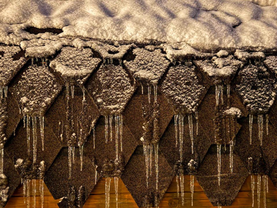 Март окрашен в красный: весна в 2026 году удивит Подмосковье — прогноз Романа Вильфанда