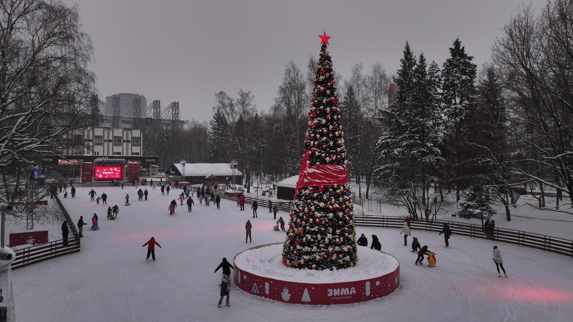 Фото: Дарья Московцева