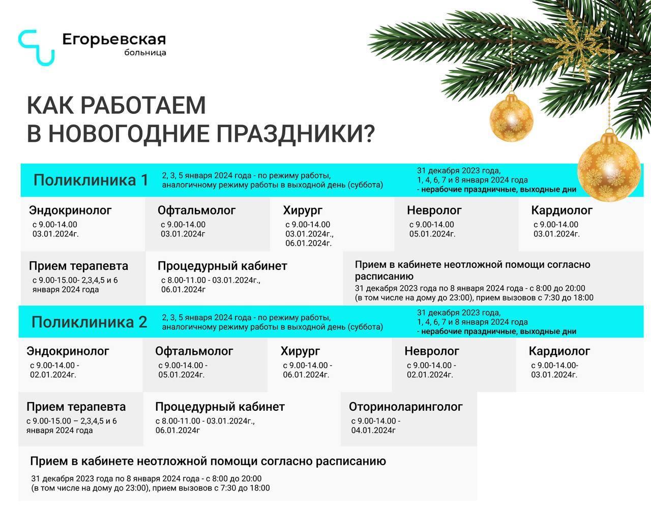 Егорьевская больница обнародовала график работы на новогодние праздники |  REGIONS.RU / Егорьевск