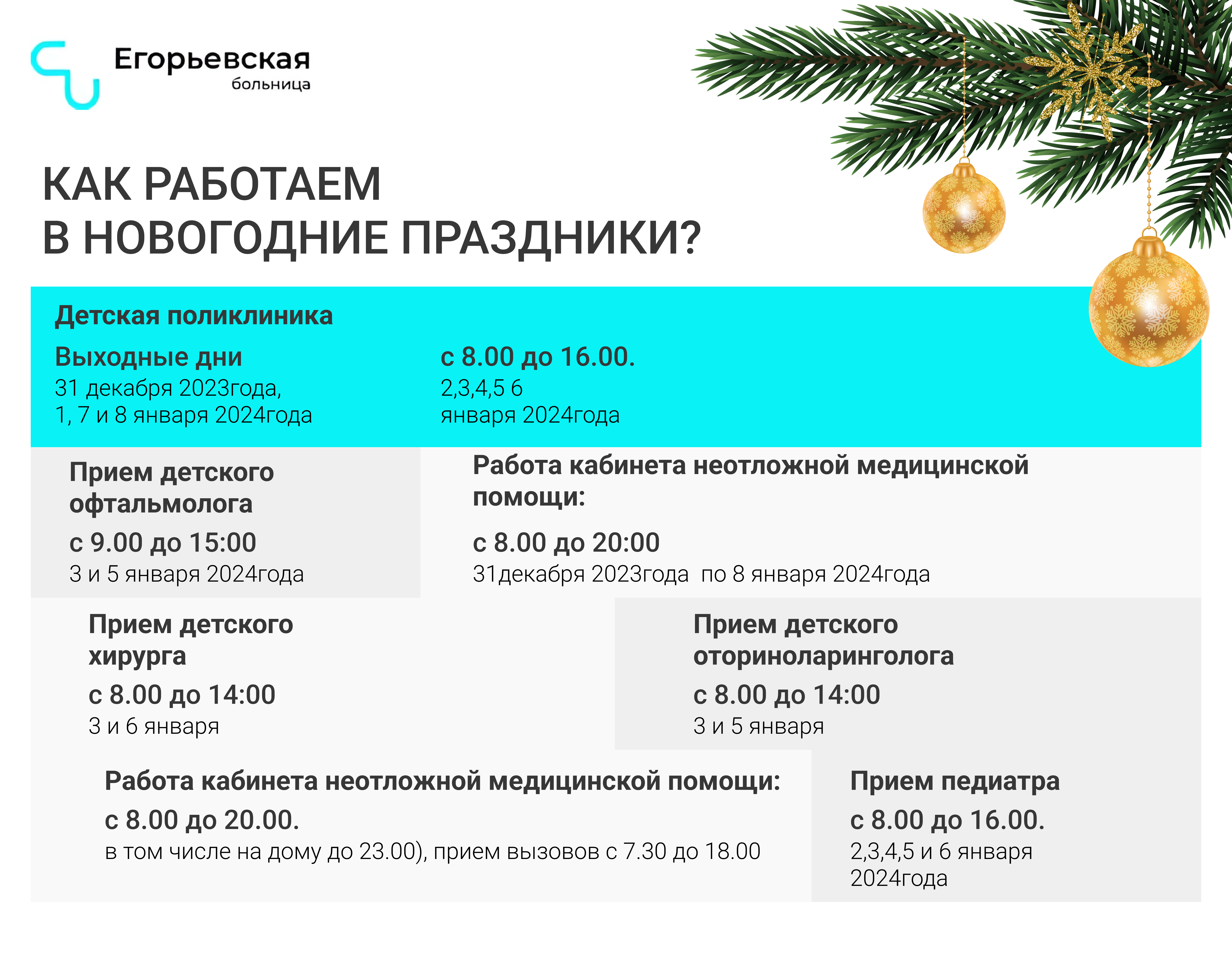 Егорьевская больница обнародовала график работы на новогодние праздники |  REGIONS.RU / Егорьевск