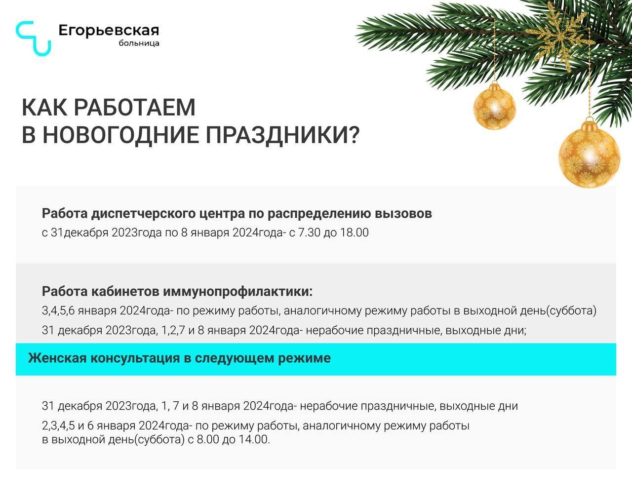 Егорьевская больница обнародовала график работы на новогодние праздники |  REGIONS.RU / Егорьевск