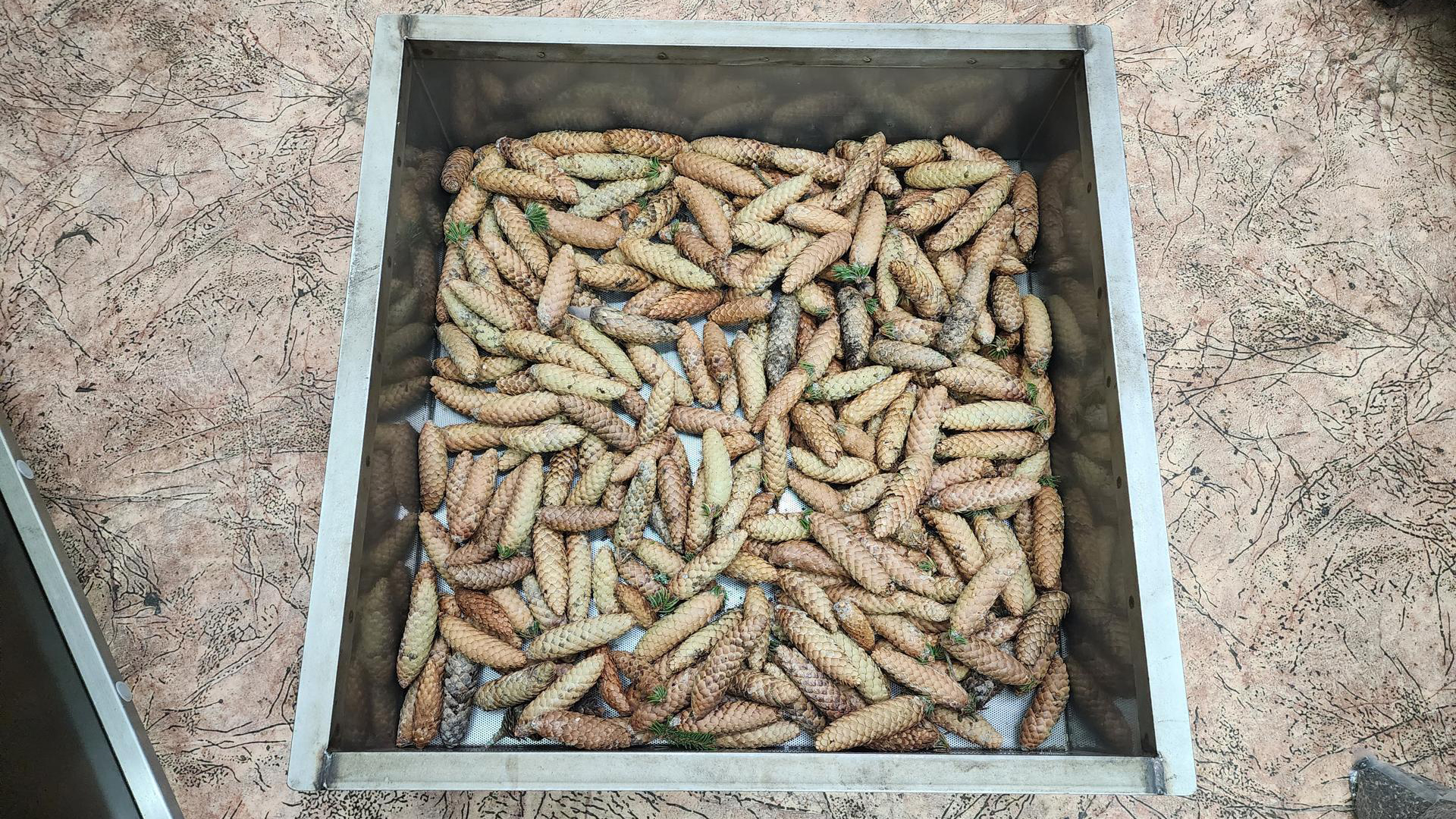 Фото: Ольга Шеметова