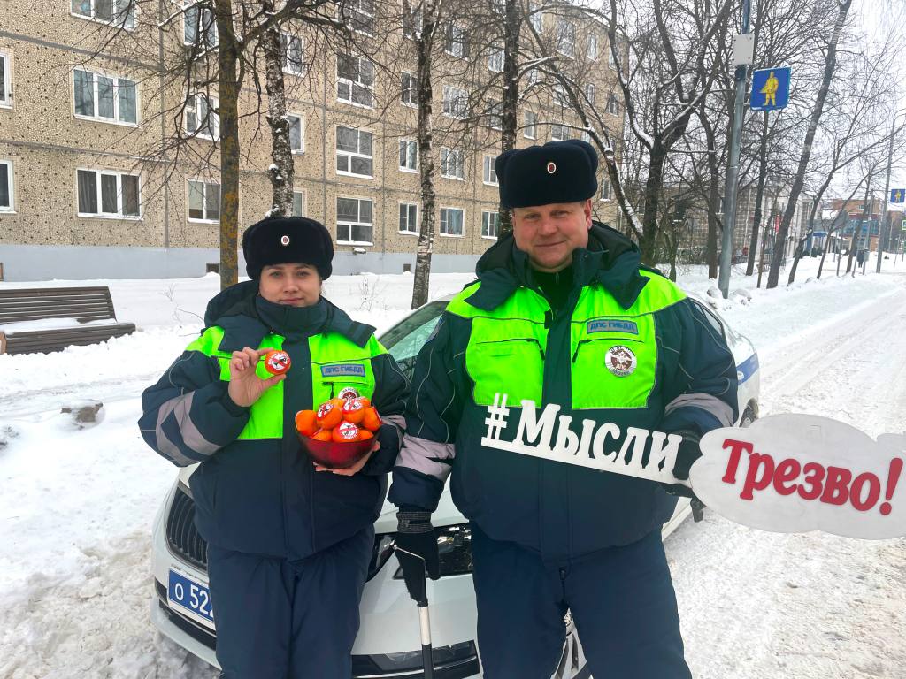 Госавтоинспекция Московской области