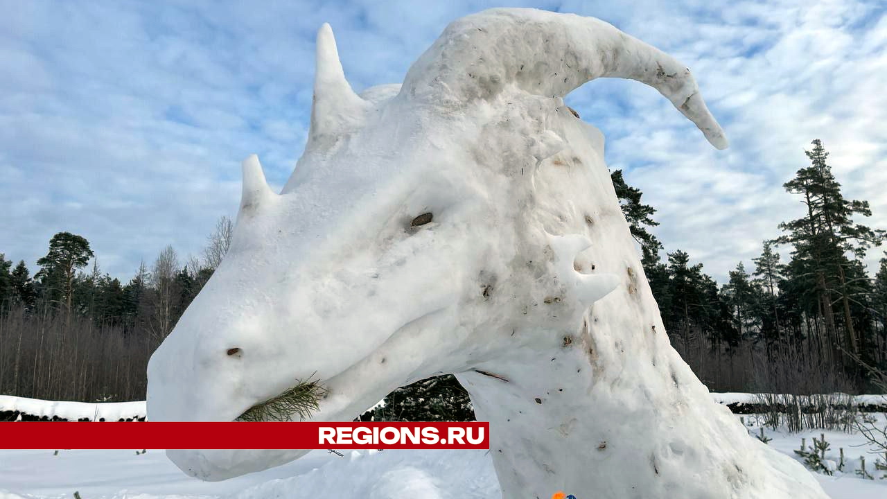 Гигантского дракона из снега и льда обнаружили в парке жители Ногинска